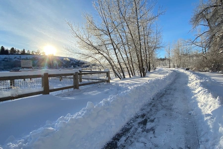 Winter scenery along the Elbow River Pathway in Calgary Alberta. The Mission neighbourhood offers quick access to the Elbow River Pathways.