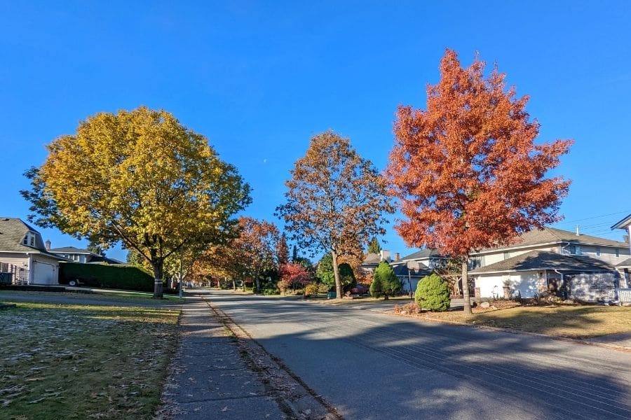 A wide shot of detached homes on 95th Avenue in the Fleetwood neighbourhood of Surrey. Trees are showing autumn colours.  