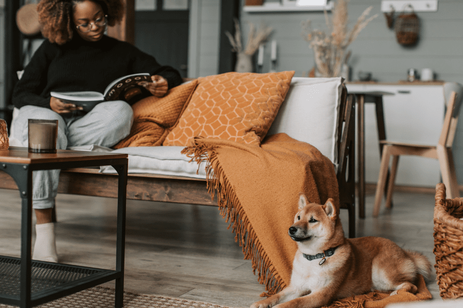  A female newcomer is sitting on a sofa with a small dog laying on the floor in a Canadian apartment.