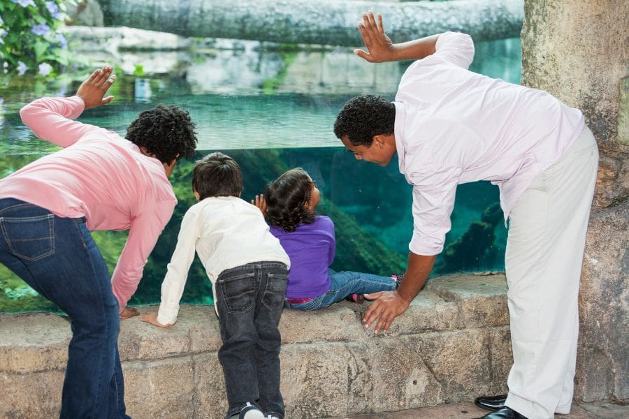 Family visiting Calgary Zoo during March Break in Alberta