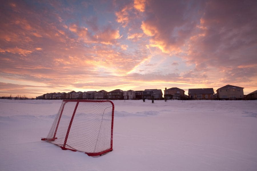 A snow-covered field with a red hockey net in a Winnipeg residential neighbourhood.