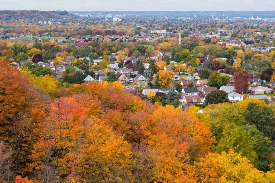 An aerial view of Hamilton, Ontario during autumn, showing thousands of residential houses nestled among vibrant yellow, orange, and green trees with the Niagara Escarpment in the distance.