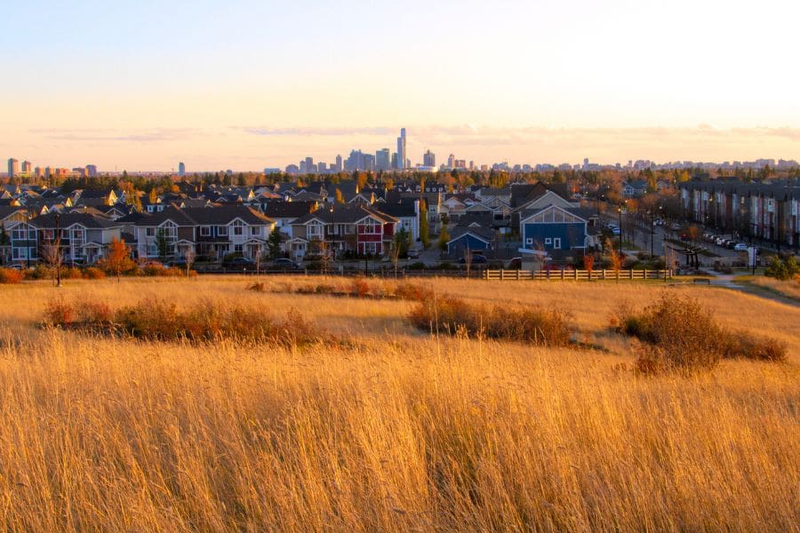 A modern residential suburban neighbourhood with family houses and townhomes, perfect for families looking to buy real estate in Edmonton.