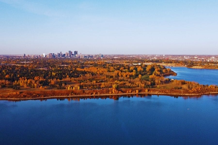 An aerial landscape view of vibrant yellow fall trees surrounding a large blue reservoir with the downtown Calgary skyline on the horizon.
