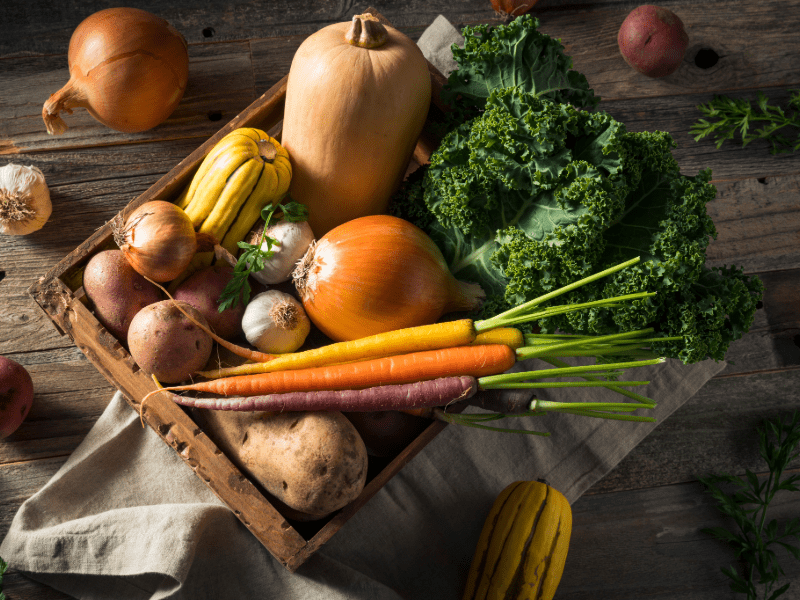 Insights Post 9 2 (1)