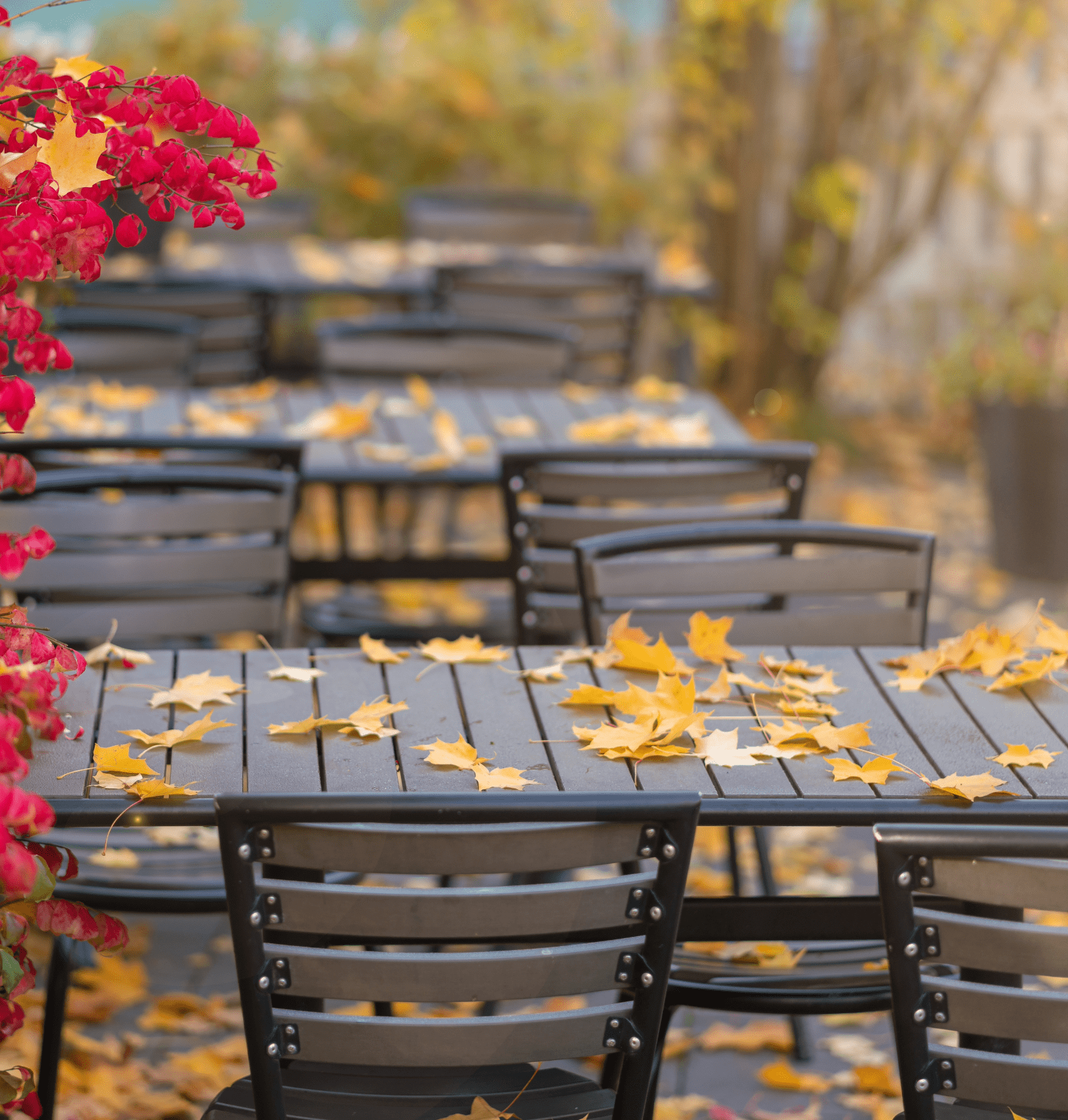 From Harvest to High Margins