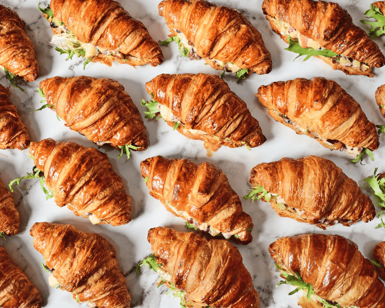 Turn Holiday Catering into Your Most Profitable Season Yet